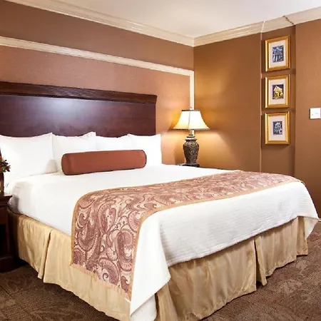 Best Western Plus French Quarter Courtyard Hotel New Orleans Exterior foto